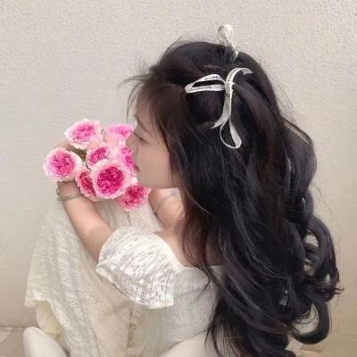 捉鬼小精灵2